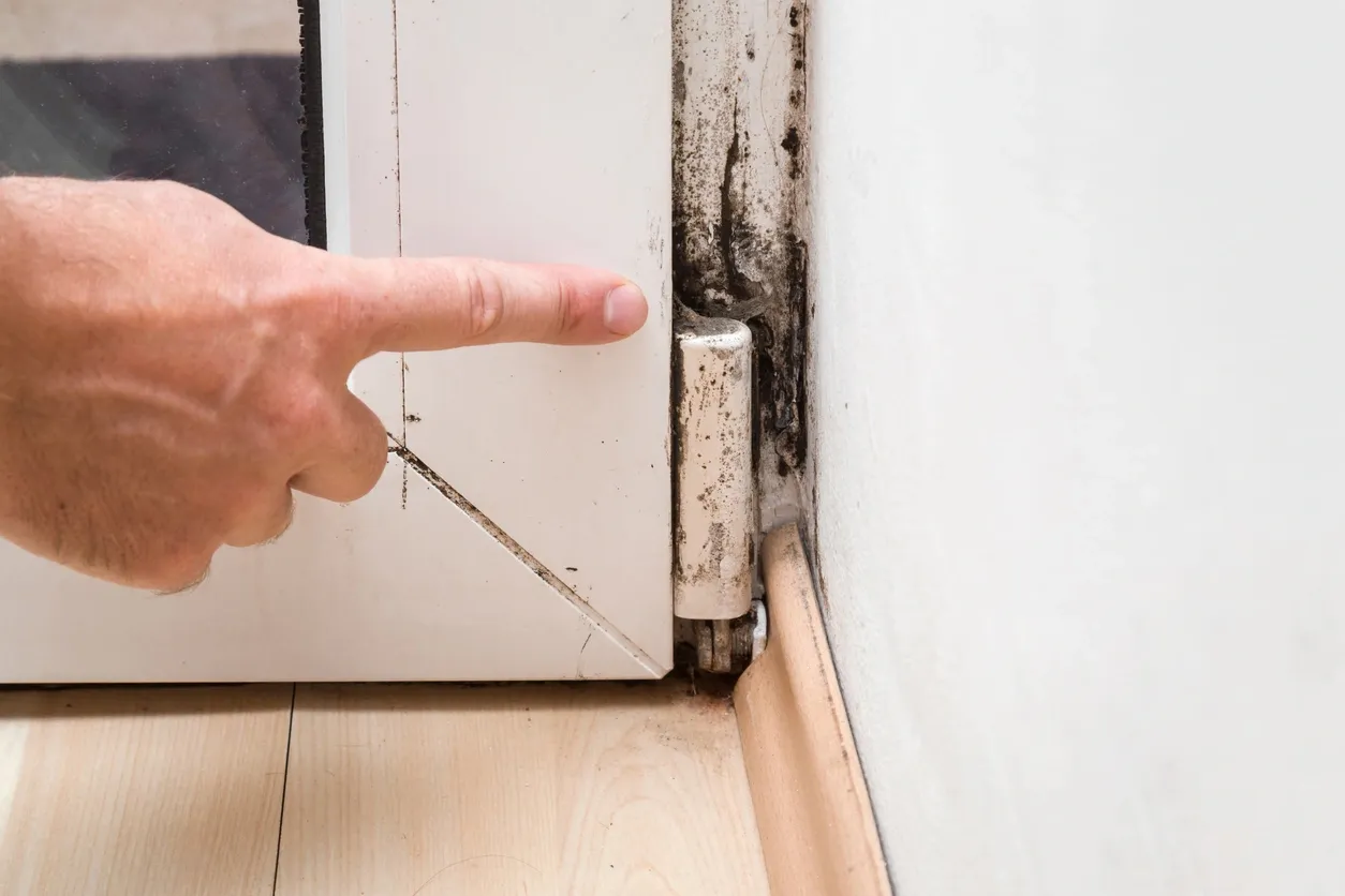 Types of Damp and Mould you can get compensation for